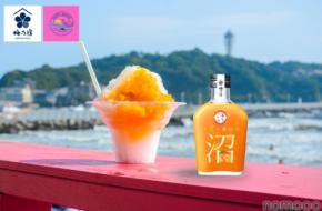 【かき氷で一杯やらない？】人気リキュールの