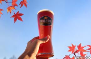 【10周年記念の特別醸造品!】秋限定クラフトビール「WORKS Ale#45 thx :) Blue Mountain Ale」登場