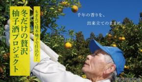 【12月に採れた柚子をお酒に！】「もぎたて桂木柚子で仕込む！冬だけの贅沢柚子酒プロジェクト」販売