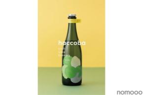 【新時代のSake！】「haccoba -Craft Sake Brewery-」のお酒が「ふるさと納税返礼品」に登場