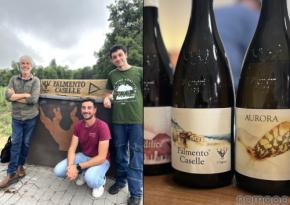 【まさにヒューマンワイン！現エトナワインの源流】イタリアはエトナの「イ・ヴィニェーリ」が販売開始