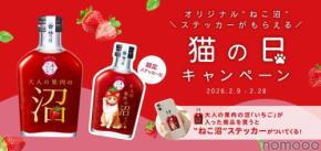 【猫の日を彩る「ねこ沼」ステッカー付き！】『PARLORあらごし 大人の果肉の沼「いちご」』限定セットが販売