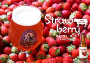 【乳酸菌 × 苺!常識を覆す味わいのビール】「ホエイサワーエール ストロベリー」限定発売