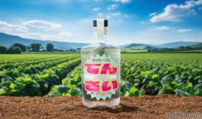 【想像を超える美味しさのラム酒！】てん菜の「糖蜜」のエシカルラム酒『てんさいラム』限定300本が発売