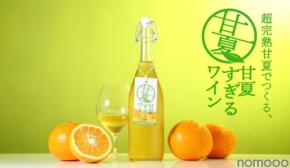 【甘夏100%で造るフルーツワイン！】ピュアな魅力を極めた「甘夏すぎるワイン」販売開始