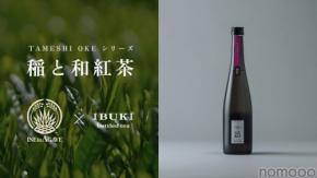 【紅茶を使ったのにマスカットのような香り！？】クラフトサケ「稲と和紅茶」が新登場