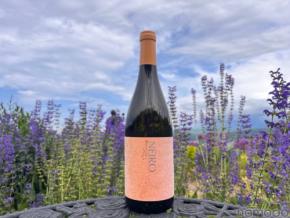 【樹齢約40年のバッカス品種を使用！】NIKI Hills Wineryの最新ヴィンテージワイン「NEIRO 2025」リリース