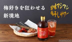 【梅干しと出汁の旨味が魅力のサワーベース！】「旨味マシマシ梅干しサワー」販売開始
