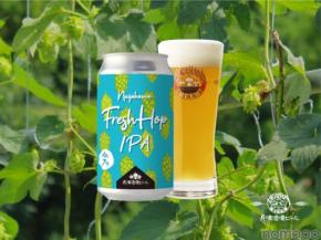 【ホップ収穫から投入まで5時間！？】「Nagahama Fresh Hop IPA（ナガハマフレッシュホップIPA）」販売