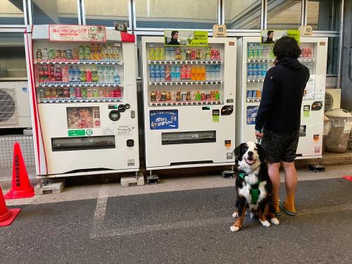 自動販売機たちをバックに撮影。