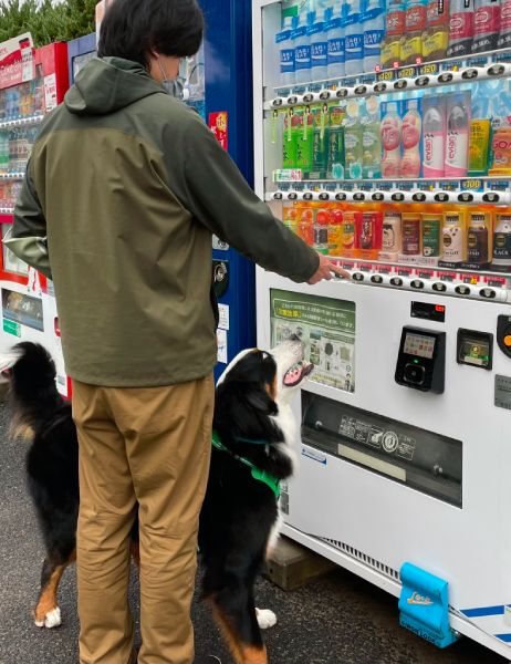 買う瞬間が特にお気に入りとのこと。