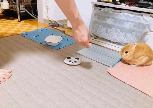 例え眠っていてもおやつへの執着は忘れません