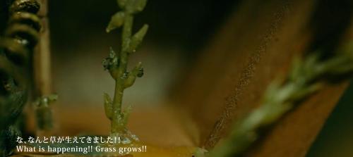 こぼれた薬剤から草が（エンチャント工房さん提供）