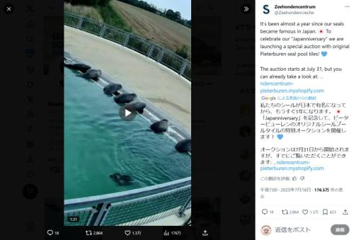 アザラシ幼稚園のタイルが、「Japanniversary」と銘打ち、出品されることに