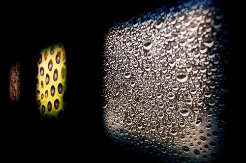 無数の水玉やブツブツの集合体