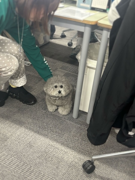 背中を押されるビーアくん
