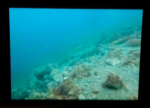広い海の映像