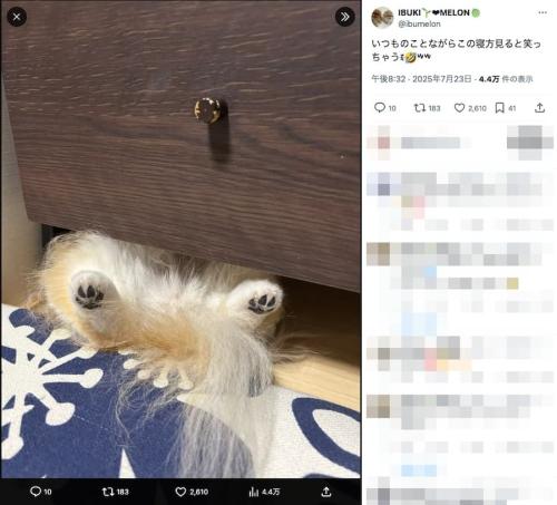 いつも気がつくとこの体勢に