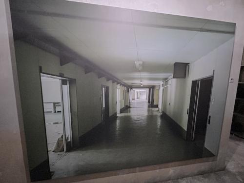 一見すると何の変哲もない写真