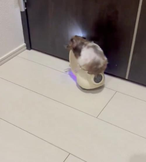ゴキゲンな音楽とともに壁に接近