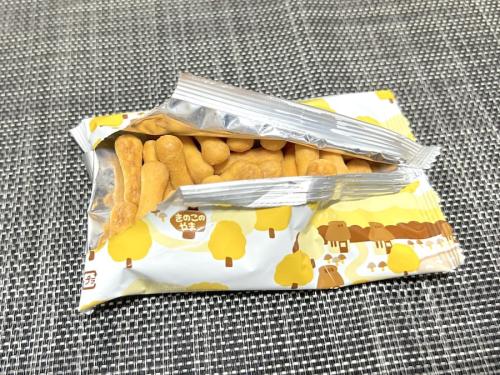 きのこのジクがぎっしり