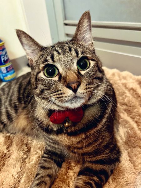 普段のぜんくん