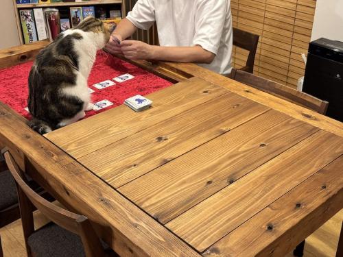 プレイ中の様子