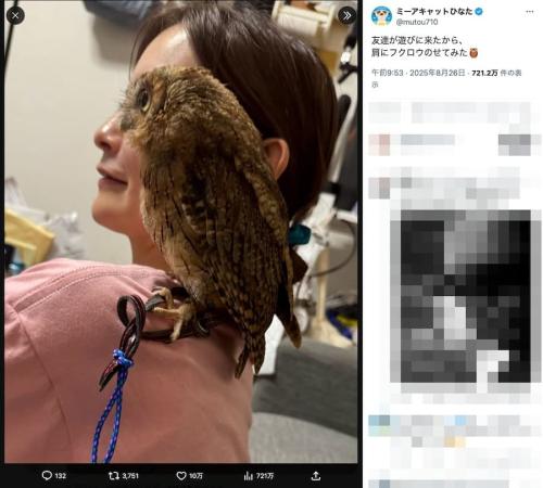 計算ではなく、たまたま