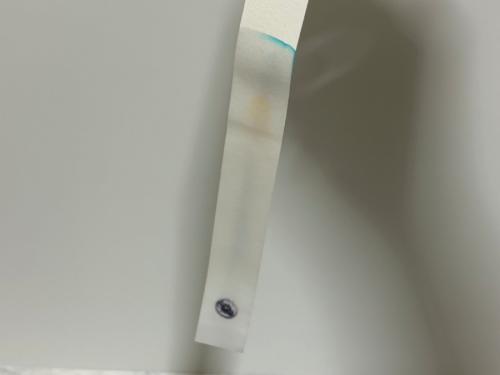 ゾクっとする体験でした