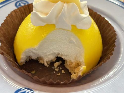 ムースがぎっしりと詰まった断面