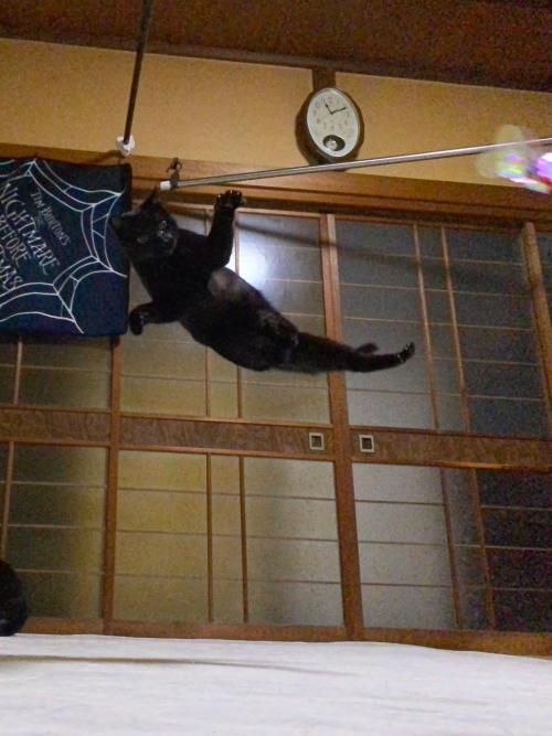 この後日にも面白ポーズを披露