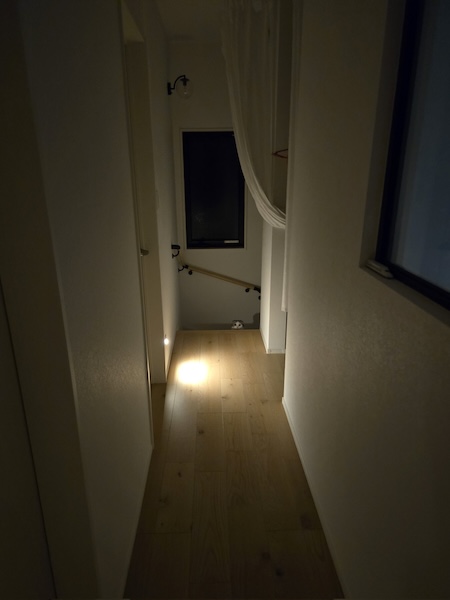 「怖いって」階段の奥から顔だけニョキッ!闇の中から見つめる猫ちゃん