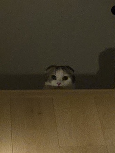 拡大してみるとかわいい