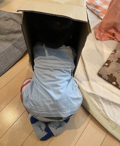 隠れていない部分の方が多い