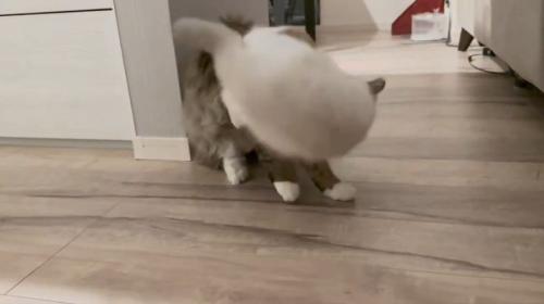 鮮やかな一本