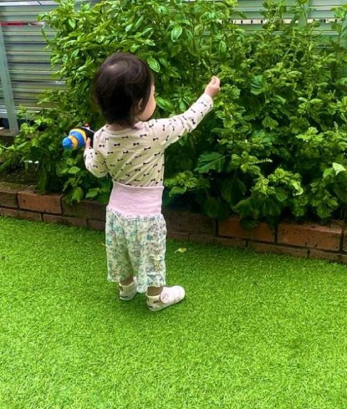 1歳児の厳しいチェックを受ける作物