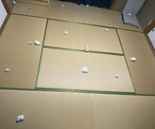 「本物のハムスターを探せ!」広々とした和室で開催されたクイズが高難易度すぎる