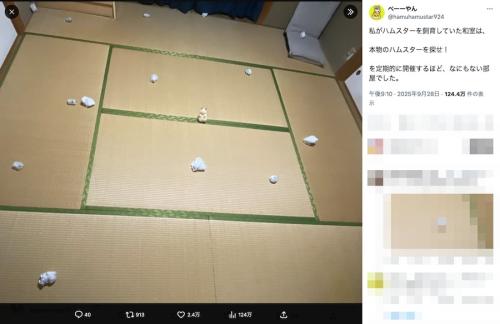 中央の物体はフェイク