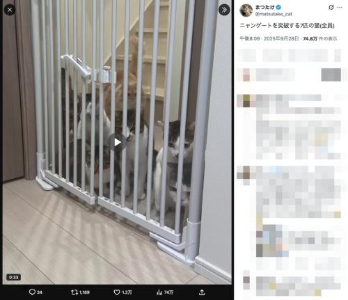 まつたけさんの投稿