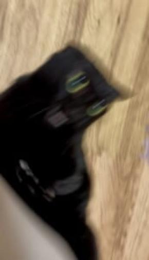 これが……猫?全力ダッシュで飼い主から逃げる猫ちゃんがカートゥーンすぎる