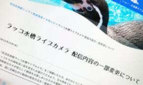 鳥羽水族館、ラッコ配信で“飼育係モザイク化” カスハラ対策で映像方法変更