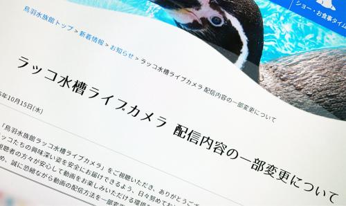 鳥羽水族館、ラッコ配信で“飼育係モザイク化” カスハラ対策で映像方法変更