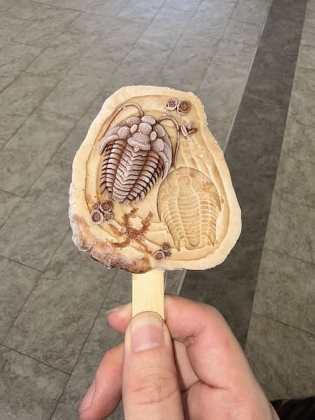 三葉虫アイス