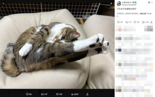 独特な伸びポーズ