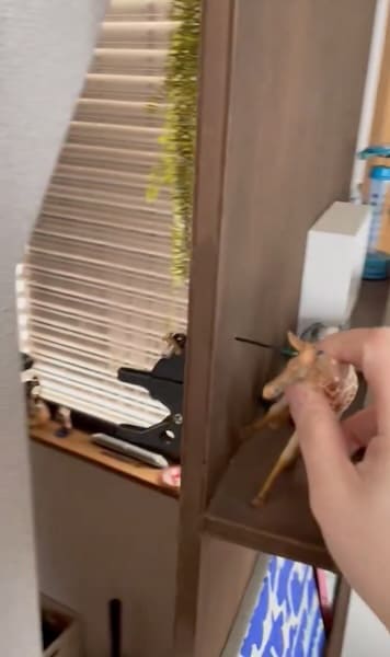 隠し部屋が現れる!