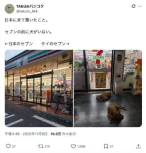 タイと日本のセブン−イレブン、店先に広がる“決定的な違い”が話題