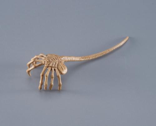 フェイスハガーは取り外し可能