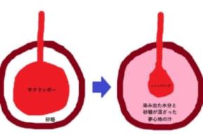 「シナシナランボ」から「夢心地の汁」が……？ 金精軒のチェリーボンボン解説図がゆるくてわかりやすい