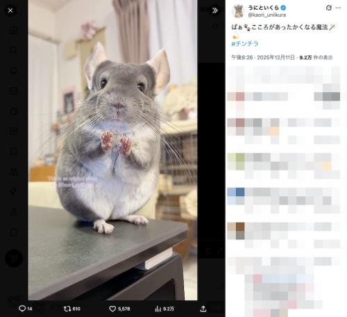 手をかざすいくらちゃん
