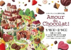 名古屋タカシマヤ、催事で究極の「きのこの山」「たけのこの里」を発売　パティシエが本気アレンジ
